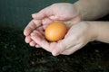 Hands cradling a brown egg.